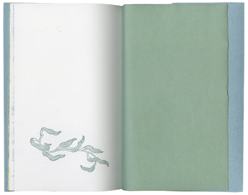 Sea Delisches Artist Book by Kendra Greene of Greene Ink Press