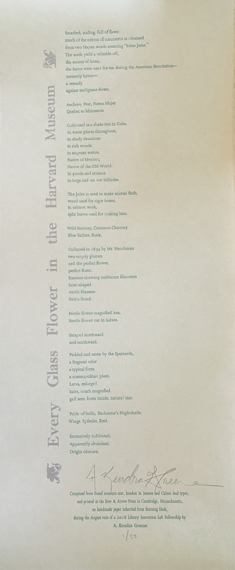 Every Glass Flower in the Harvard Museum Broadside by Kendra Greene of Greene Ink Press